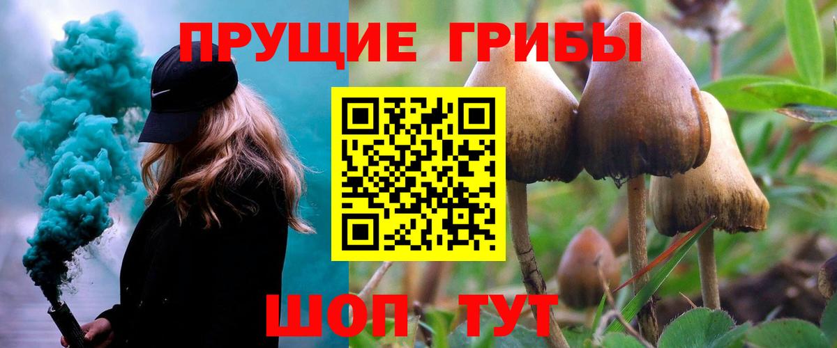 Псилоцибиновые грибы Cubensis  Вход с VPN  Сосновоборск 